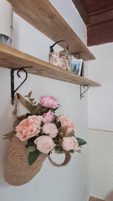 La Casina Appartement Capodimonte Buitenkant foto